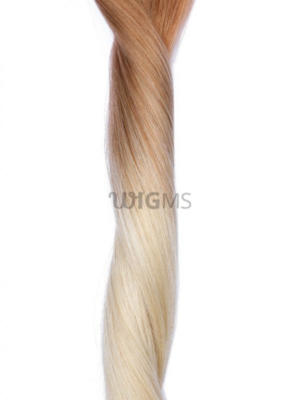 Long Straight Clip In Extension